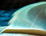 Reading